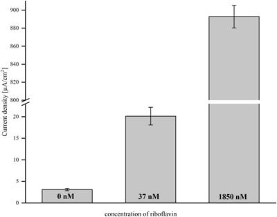 Addition of Riboflavin-Coupled Magnetic Beads Increases Current Production in Bioelectrochemical Systems via the Increased Formation of Anode-Biofilms